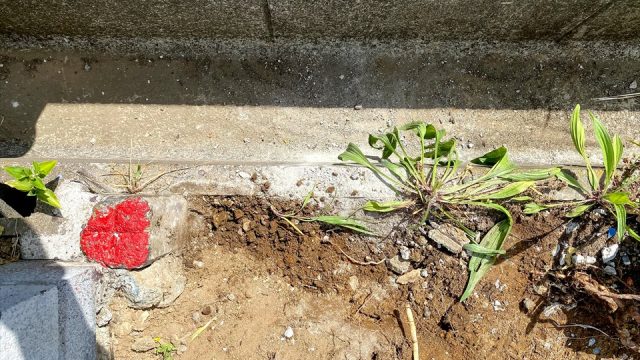 横浜市港北区新吉田東５丁目土地の地中埋設物調査の画像