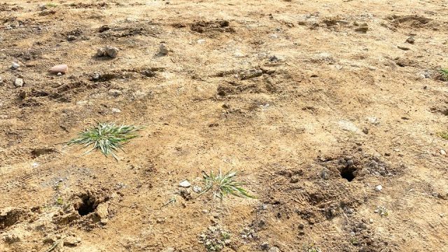 新吉田東2丁目　地盤補強工事終了
