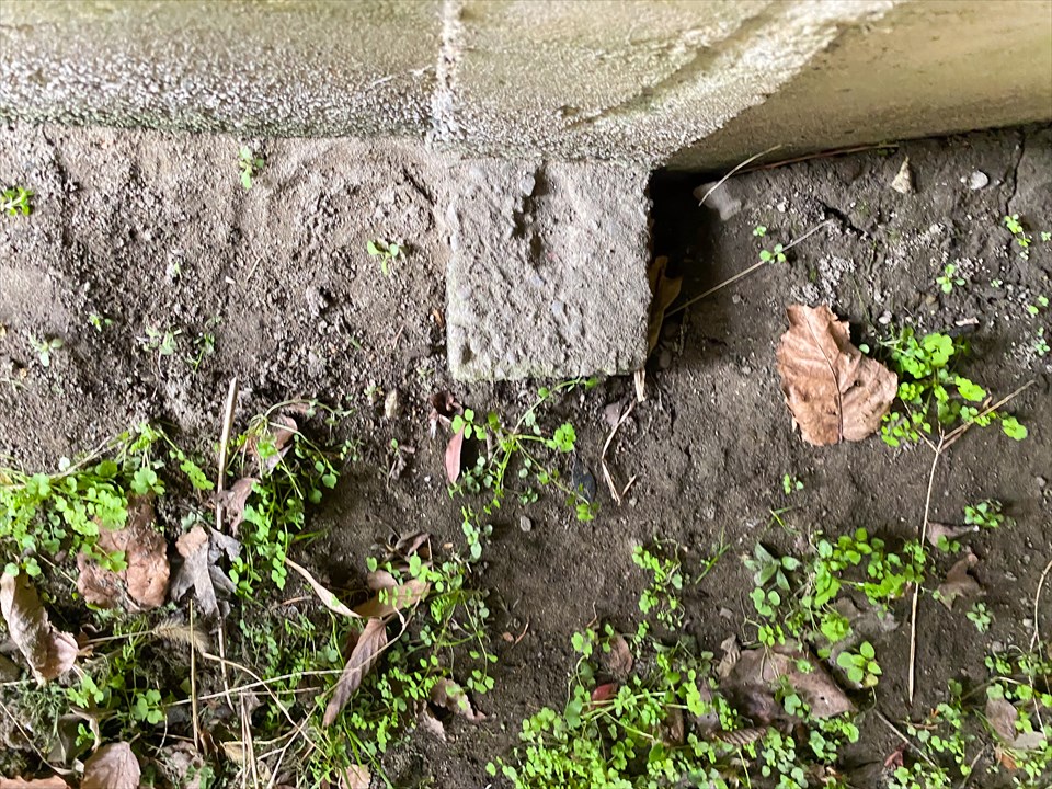 境界調査（現地確認）