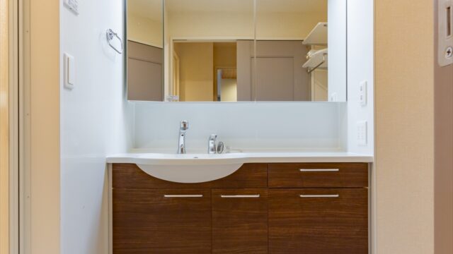 GRACA新丸子 203室内画像