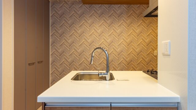 GRACA新丸子 203室内画像