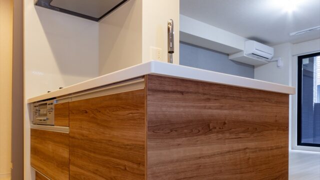 GRACA新丸子 203室内画像