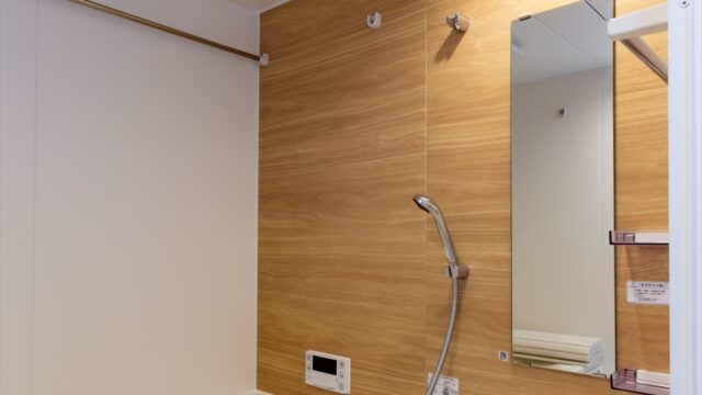 GRACA新丸子 203室内画像